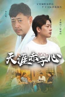 天涯赤子心(60集) 天涯赤子心(60集)爆火短剧抢先看