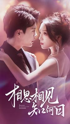 相思相见知何日(81集) 相思相见知何日(81集)短剧抢先看全集