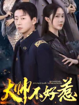 大帅不好惹（79集）番茄短剧看全集