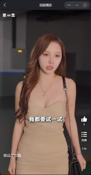 我的富豪美女总裁(我的极品女总裁) 我的富豪美女总裁(我的极品女总裁)不用花钱看全剧