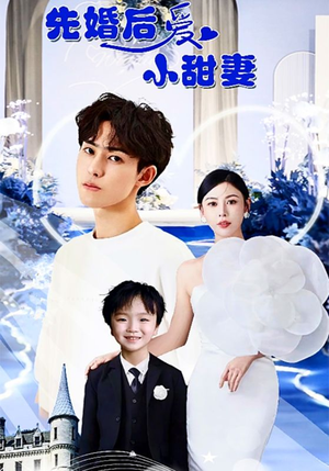 先婚后爱小甜妻(100集) 先婚后爱小甜妻(100集)看到了大结局