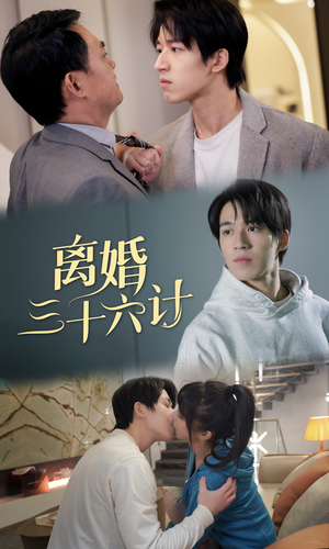 离婚三十六计（96集）短剧推荐上热门