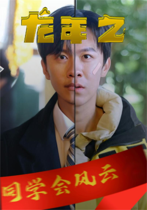 龙年之同学会风云(94集) 龙年之同学会风云(94集)全季一次看完