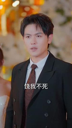 隐龙归来(88集) 隐龙归来(88集)零花钱看整部剧