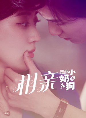 相亲遇到小奶狗（80集）看到了大结局