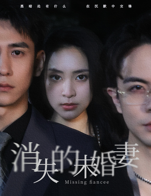 消失的未婚妻（82集）短剧上热门