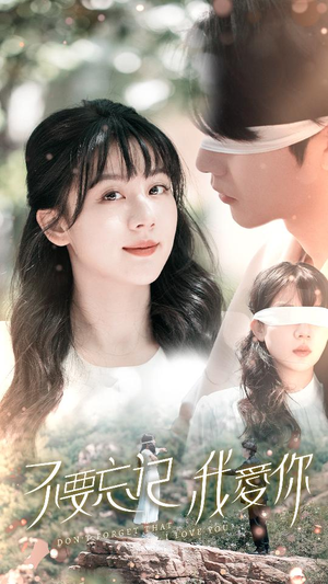 不要忘记我爱你(69集) 不要忘记我爱你(69集)在线播放