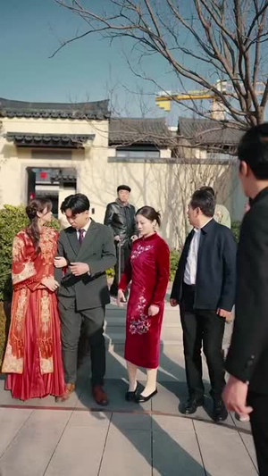 17.过大年之房不胜防(80集) 17.过大年之房不胜防(80集)观看软件