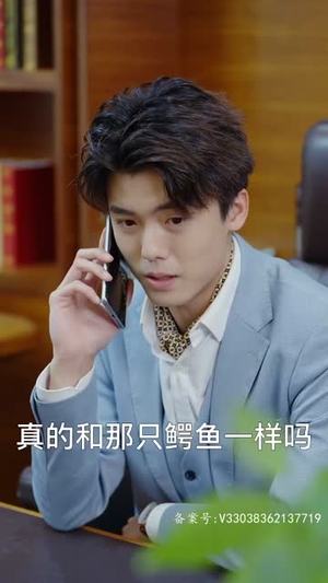 裸婚夫妇生存攻略(86集) 裸婚夫妇生存攻略(86集)红果短剧免费看