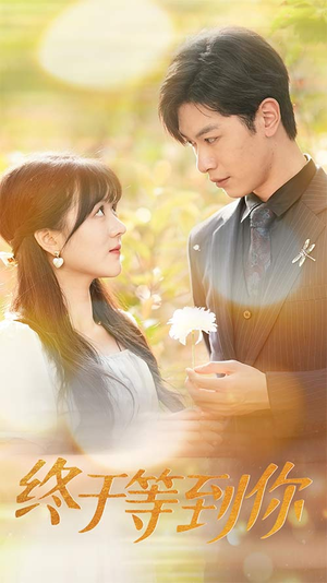终于等到你(80集) 终于等到你(80集)短剧
