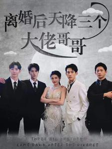离婚后天降三个大佬哥哥(83集) 离婚后天降三个大佬哥哥(83集)好看短剧抢先看
