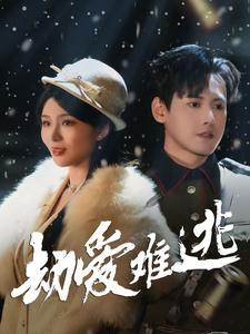 24.劫爱难逃(30集) 24.劫爱难逃(30集)短剧全集完整