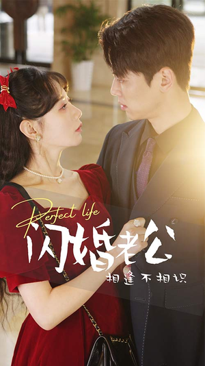 闪婚老公相逢不相识(90集) 闪婚老公相逢不相识(90集)爆火短剧推荐