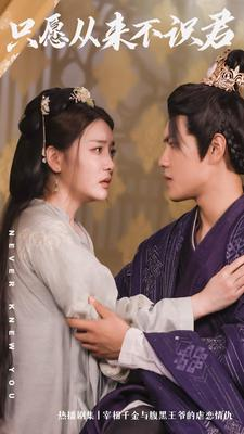 只愿从来不识君(80集) 只愿从来不识君(80集)全季一次看完