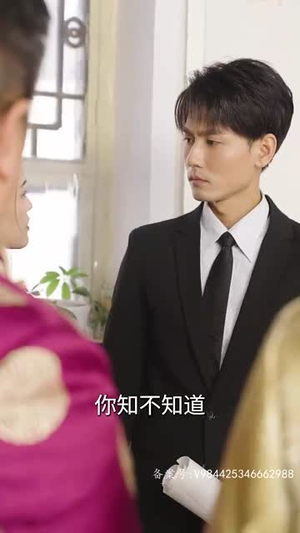 赘婿天子(91集) 赘婿天子(91集)好看的短剧