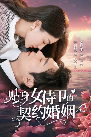 贴身女侍卫的契约婚姻（91集）第二季