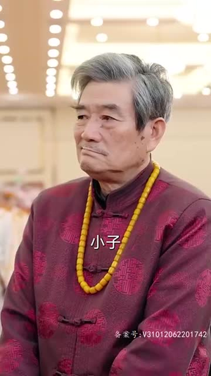 踏雪(96集) 踏雪(96集)让你一口气看完