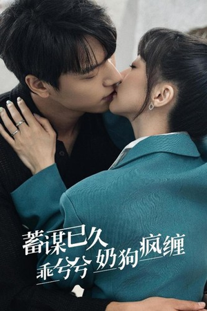 蓄谋已久，乖兮兮奶狗疯缠（94集）大结局一气呵成