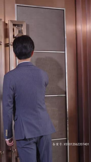 隐世大佬的刺客老婆（100集）精彩短剧看全集