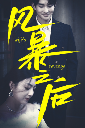 风暴之后（80集）超爽短剧推荐