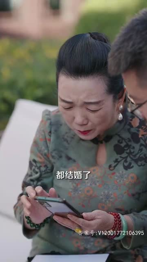 风起时见你（93集）百度网盘资源