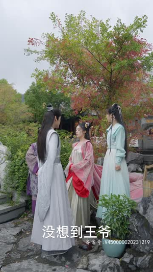 腹黑王爷的千金丫鬟（94集）好看短剧抢先看