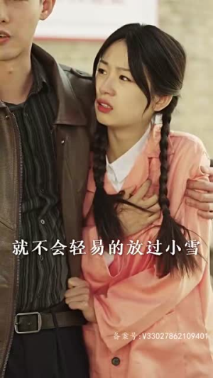 乘风破浪(94集) 乘风破浪(94集)大结局