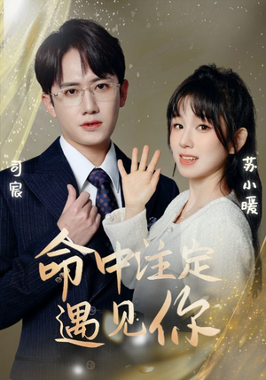 命中注定遇见你(96集) 命中注定遇见你(96集)小短剧抢先看