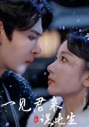 一见君来误此生(95集) 一见君来误此生(95集)女主谁演的