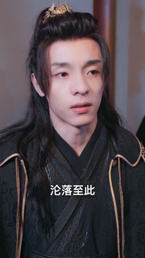 纨绔少爷掌上娇（100集）最后一集