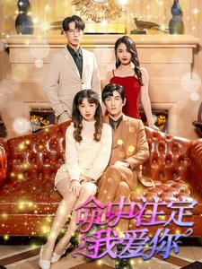 命中注定我爱你(99集) 命中注定我爱你(99集)热门短剧排行榜