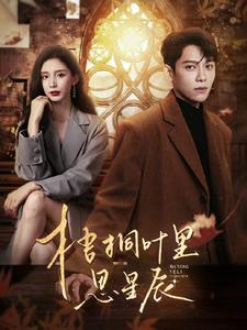 梧桐叶里思星辰(100集) 梧桐叶里思星辰(100集)爆火短剧追不停