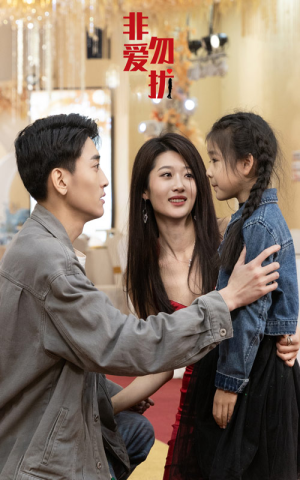 非爱勿扰(92集) 非爱勿扰(92集)大结局一气呵成