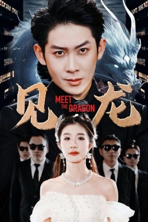 见龙（78集）短剧热门推荐