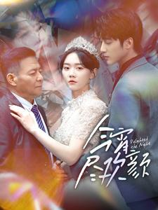 今宵尽欢颜（99集）甜宠短剧追到爽