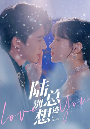 陆总别想逃(80集) 陆总别想逃(80集)女主谁演的