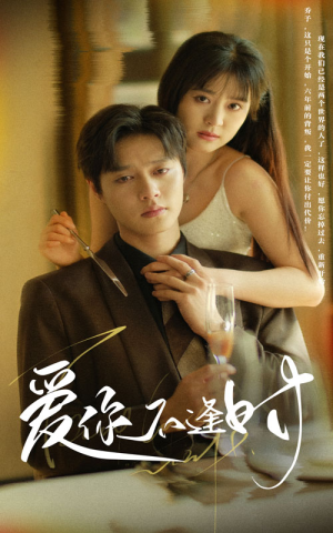 爱你不逢时(91集) 爱你不逢时(91集)全网独播免费看