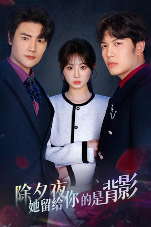 除夕夜她留给你的是背影(30集) 除夕夜她留给你的是背影(30集)完整版