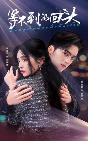 等不到的回头(35集) 等不到的回头(35集)全集我都看完了