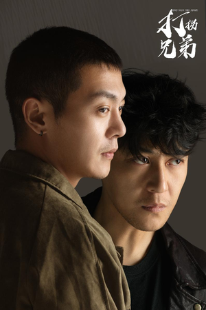 打拐兄弟（30集）剧好看短剧推荐