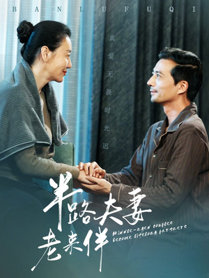 半路夫妻老来伴(50集) 半路夫妻老来伴(50集)大结局太过瘾了