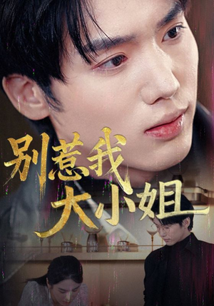 别惹我大小姐(40集) 别惹我大小姐(40集)不用花钱看全剧