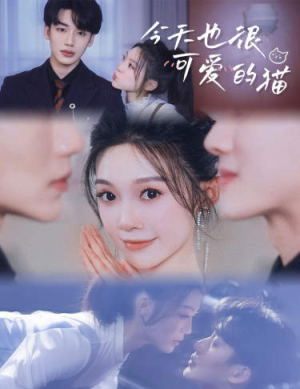 今天也很可爱的猫(72集) 今天也很可爱的猫(72集)在哪看