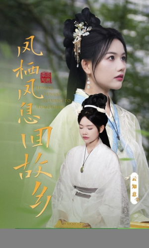 凤栖凤息回故乡（36集）火爆热门短剧