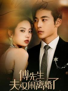 傅先生夫人又闹离婚了(80集) 傅先生夫人又闹离婚了(80集)1-102集