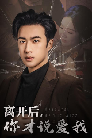 离开后,你才说爱我(30集) 离开后,你才说爱我(30集)评价怎么样