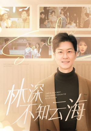 林深不知云海(84集) 林深不知云海(84集)真的太好看了