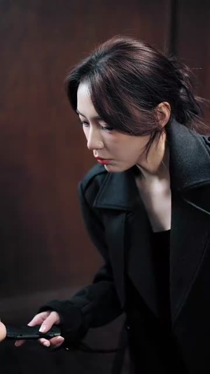 公主回归计划(60集) 公主回归计划(60集)热播短剧追不停