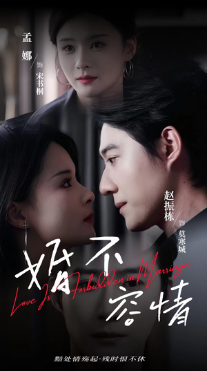 婚不容情(89集) 婚不容情(89集)短剧太精彩
