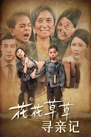 花花草草寻亲记(42集) 花花草草寻亲记(42集)爱短剧爱追剧
